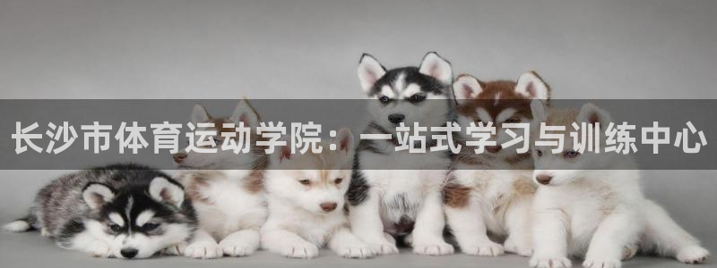 熊猫体育app官方下载最新版：长沙市体育运动学院：一站式学习与训练中心
