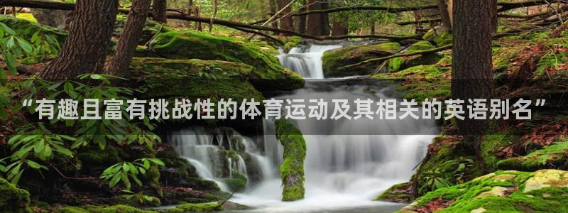 熊猫体育v3.新网页.org