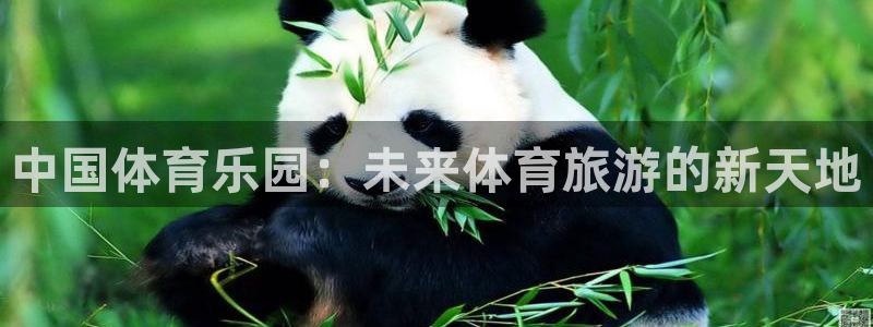 中山熊猫体育