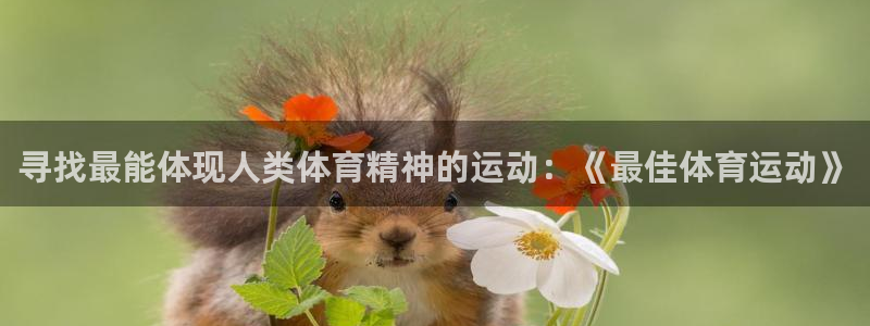 熊猫体育在线