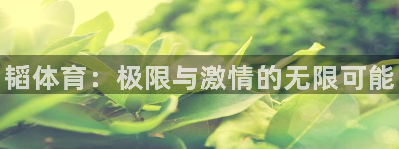 熊猫体育手机版下载