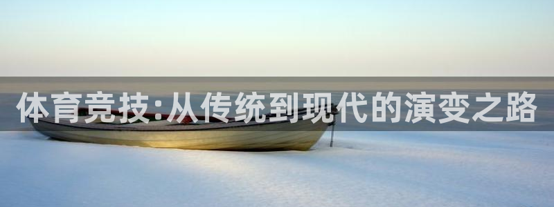 动感熊猫体育公园