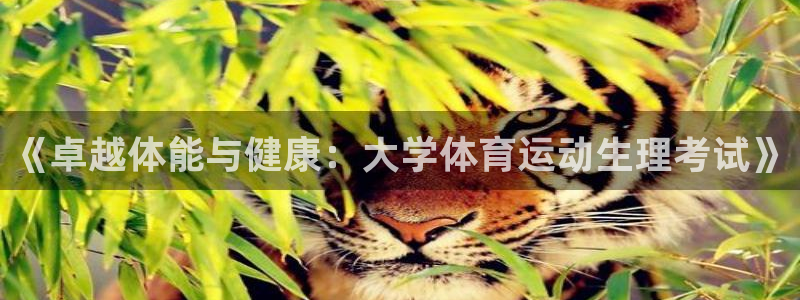 熊猫体育v3.新网页.org：《卓越体能与健康：大学体育运动生理考试》