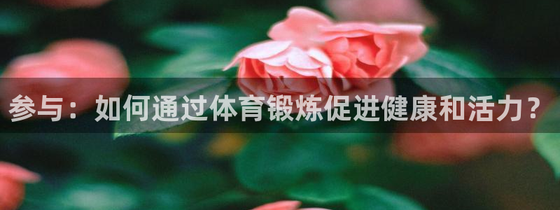 成都熊猫体育公园：参与：如何通过体育锻炼促进健康和活力？