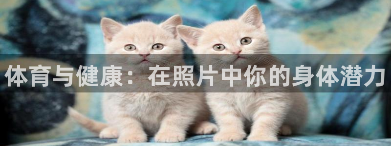 熊猫体育平台官网：体育与健康：在照片中你的身体潜力