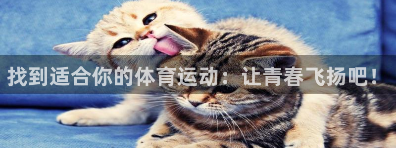 熊猫体育比赛直播：找到适合你的体育运动：让青春飞扬吧！