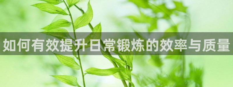 动感熊猫体育公园：如何有效提升日常锻炼的效率与质量