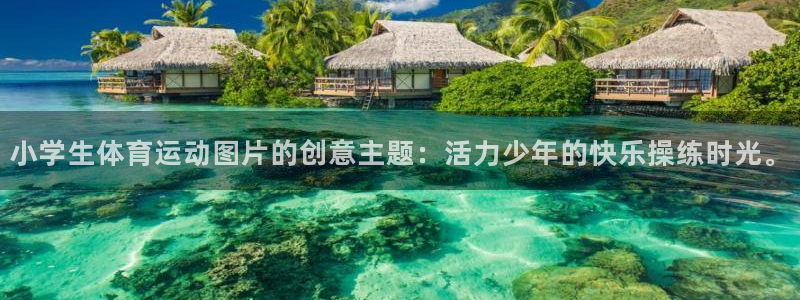熊猫体育app下载安装