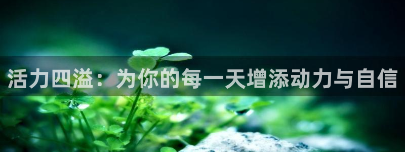 熊猫体育在线