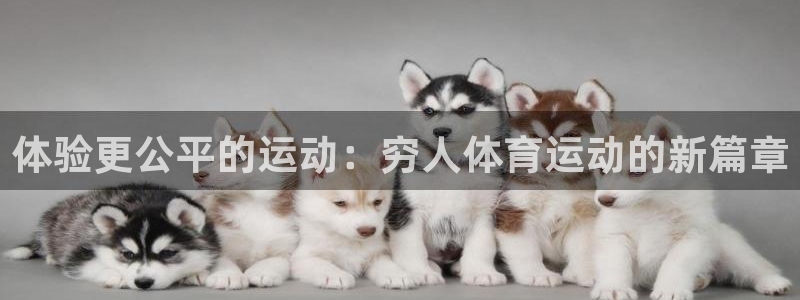 熊猫体育v3.新网页.org